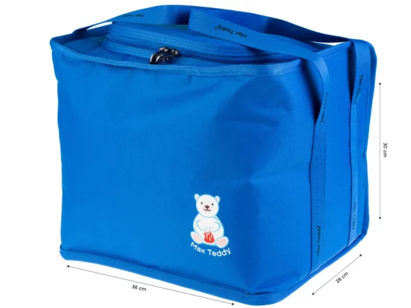Starry Night Saint Bernard Dog Insulated Lunch Bags for Outdoor Picnic Pet  Lover Waterproof Thermal Cooler Bento Box Women - AliExpress